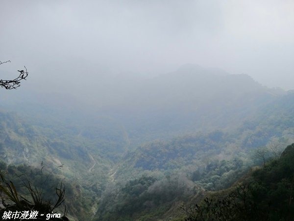 FB_IMG_1615691402734.jpg FB_IMG_1615691402734.jpg