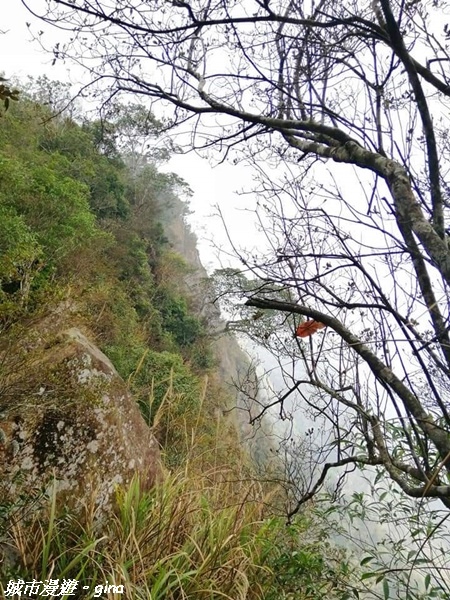 【雲林古坑】絕美孟宗竹林有如置身武俠電影場景。嘉南雲峰x石壁