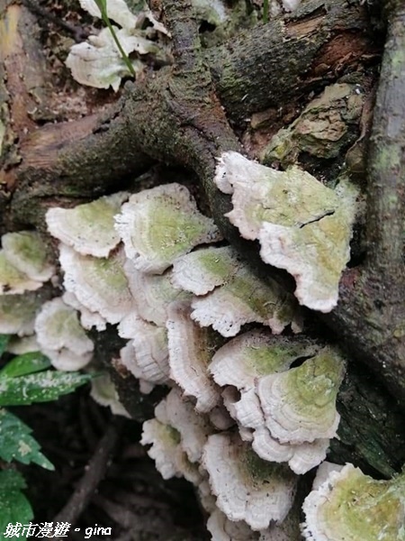 FB_IMG_1615691414079.jpg FB_IMG_1615691414079.jpg