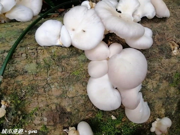 FB_IMG_1615691416861.jpg FB_IMG_1615691416861.jpg