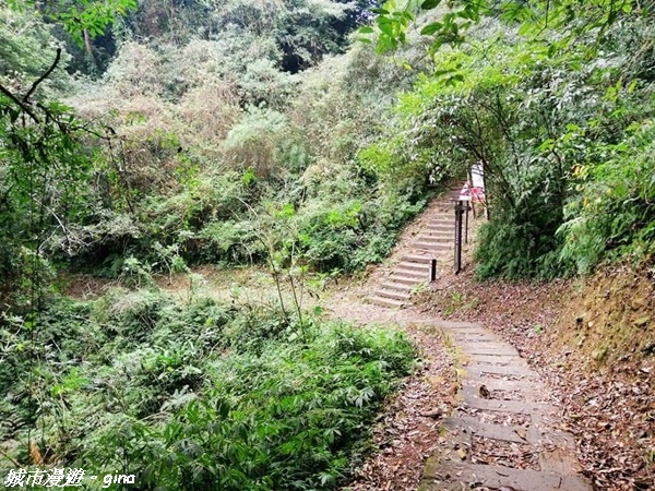 FB_IMG_1615691421469.jpg FB_IMG_1615691421469.jpg