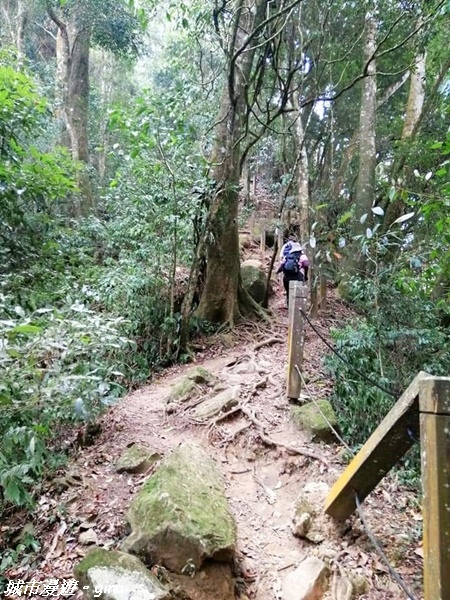 【雲林古坑】絕美孟宗竹林有如置身武俠電影場景。嘉南雲峰x石壁