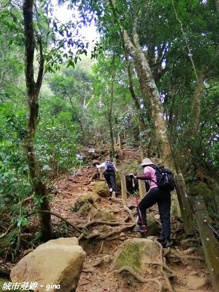 FB_IMG_1615691430329.jpg FB_IMG_1615691430329.jpg