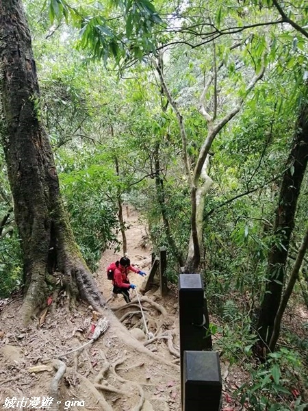 【雲林古坑】絕美孟宗竹林有如置身武俠電影場景。嘉南雲峰x石壁