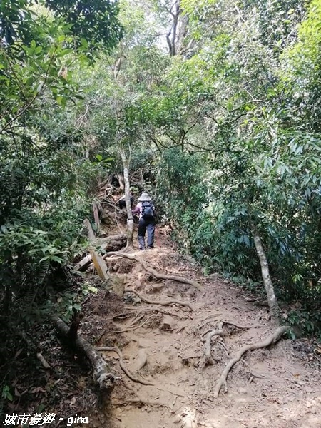 FB_IMG_1615691432498.jpg FB_IMG_1615691432498.jpg