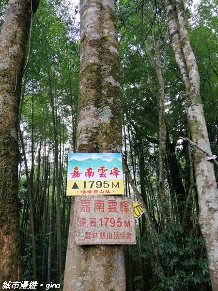 【雲林古坑】絕美孟宗竹林有如置身武俠電影場景。嘉南雲峰x石壁