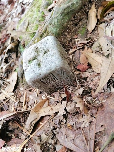 【雲林古坑】絕美孟宗竹林有如置身武俠電影場景。嘉南雲峰x石壁