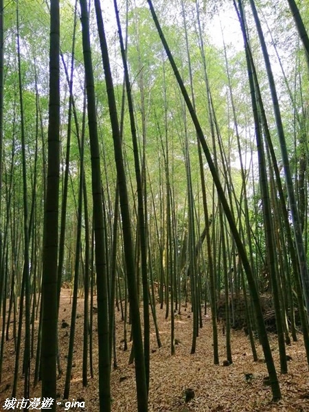 FB_IMG_1615691457298.jpg FB_IMG_1615691457298.jpg