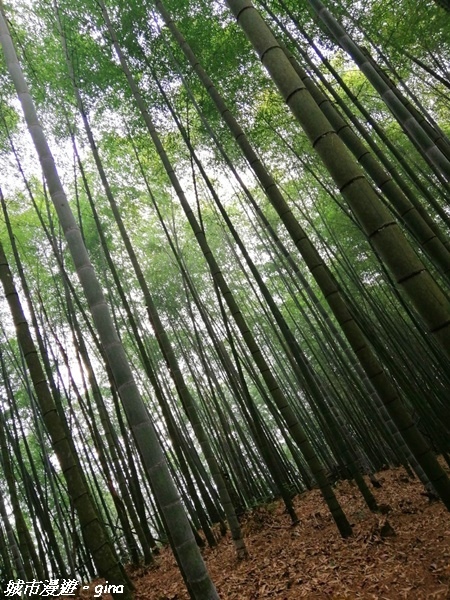 FB_IMG_1615691457299.jpg FB_IMG_1615691457299.jpg