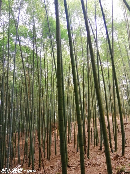 FB_IMG_1615691457300.jpg FB_IMG_1615691457300.jpg