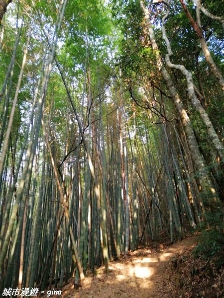 FB_IMG_1615691471604.jpg FB_IMG_1615691471604.jpg