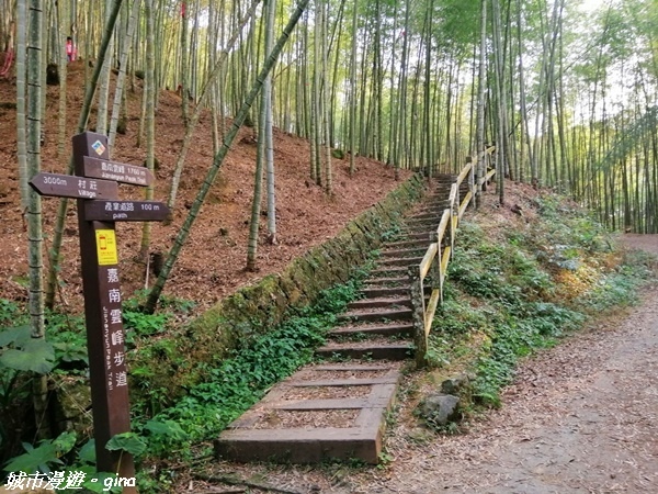 【雲林古坑】絕美孟宗竹林有如置身武俠電影場景。嘉南雲峰x石壁