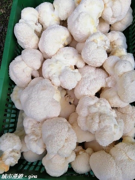 FB_IMG_1615691481764.jpg FB_IMG_1615691481764.jpg