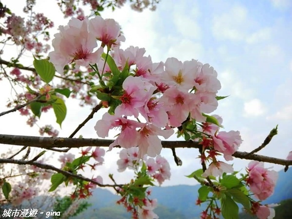 FB_IMG_1615691490391.jpg FB_IMG_1615691490391.jpg