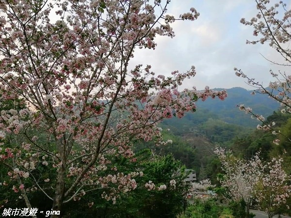 FB_IMG_1615691492892.jpg FB_IMG_1615691492892.jpg