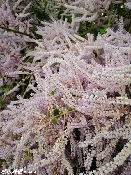 FB_IMG_1615691499619.jpg FB_IMG_1615691499619.jpg