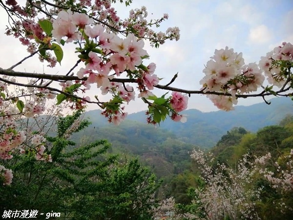 FB_IMG_1615691495172.jpg FB_IMG_1615691495172.jpg