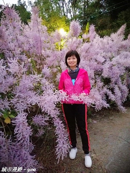 FB_IMG_1615691502319.jpg FB_IMG_1615691502319.jpg