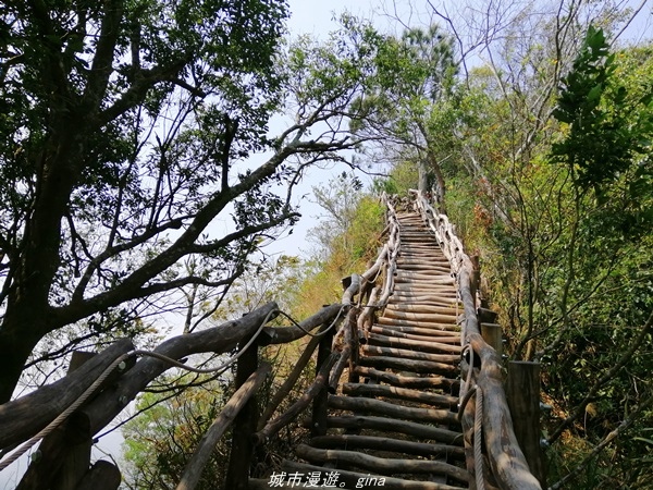 【台中北屯】台灣百大必訪步道。 No41小百岳~大坑四號步道