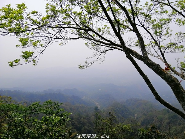 【台中北屯】台灣百大必訪步道。 No41小百岳~大坑四號步道