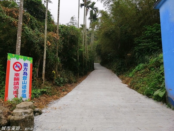 【雲林古坑】在翠綠的山巒間散散步。 華山小天梯x情人橋