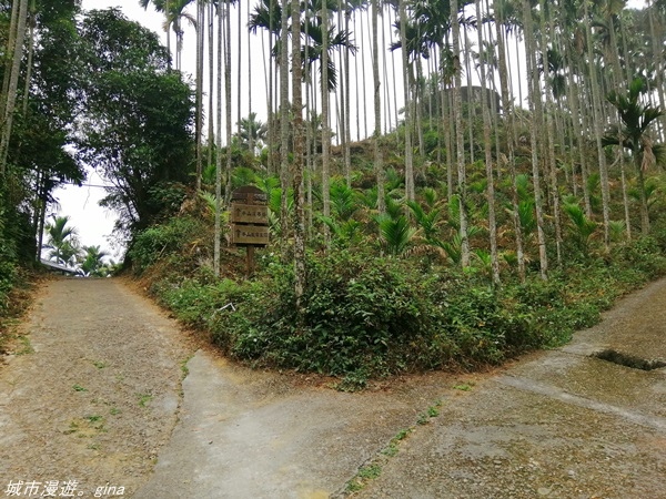 【雲林古坑】在翠綠的山巒間散散步。 華山小天梯x情人橋