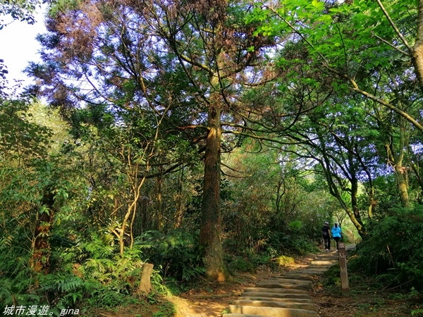 【基隆七堵】360度環繞山景。  No11小百岳_姜子寮山