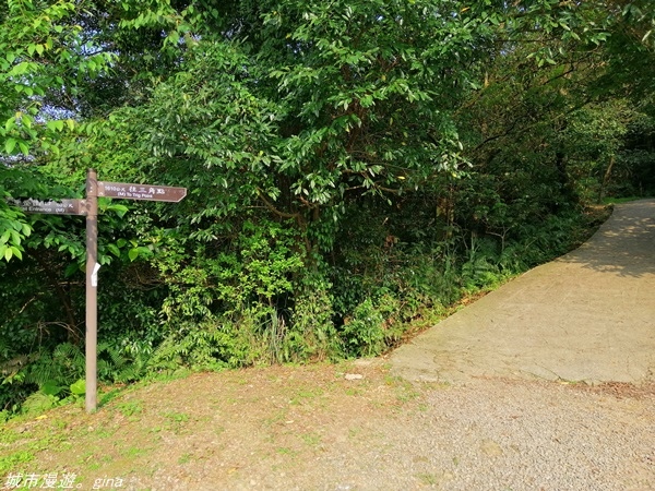 IMG_20210327_155241.jpg IMG_20210327_155241.jpg