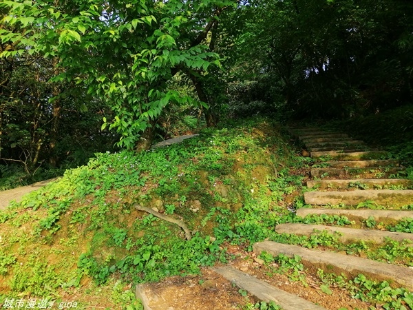 IMG_20210327_155252.jpg IMG_20210327_155252.jpg