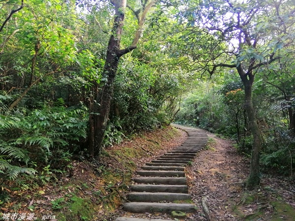 【基隆七堵】360度環繞山景。  No11小百岳_姜子寮山