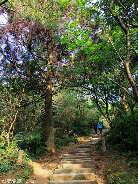 【基隆七堵】360度環繞山景。  No11小百岳_姜子寮山