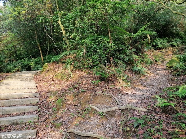 【基隆七堵】360度環繞山景。  No11小百岳_姜子寮山