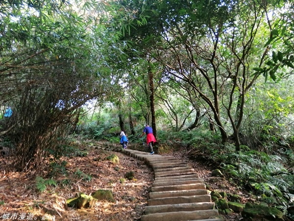 IMG_20210327_155924.jpg IMG_20210327_155924.jpg