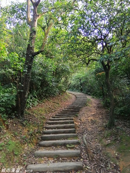 IMG_20210327_160513.jpg IMG_20210327_160513.jpg