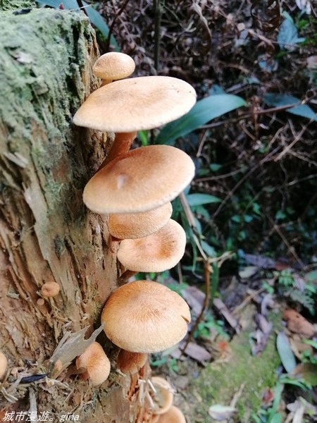 IMG_20210327_160831.jpg IMG_20210327_160831.jpg