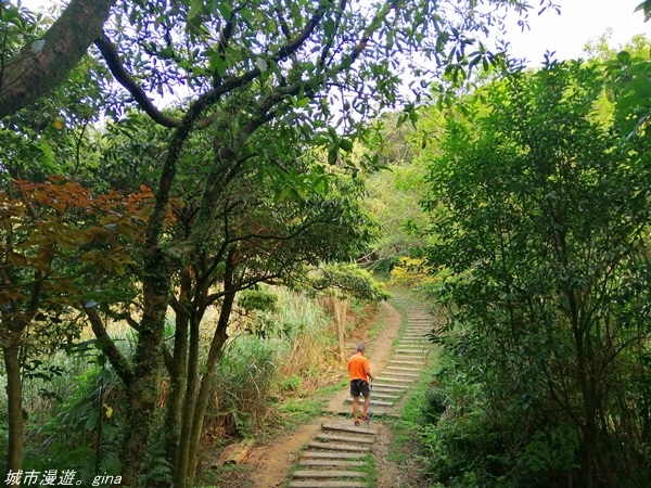 IMG_20210327_161121.jpg IMG_20210327_161121.jpg