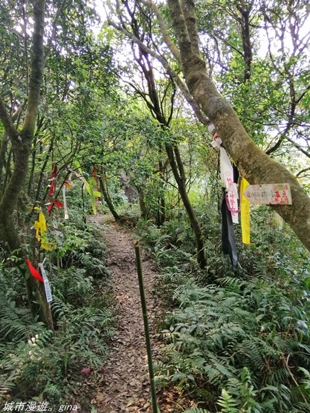 【基隆七堵】360度環繞山景。  No11小百岳_姜子寮山