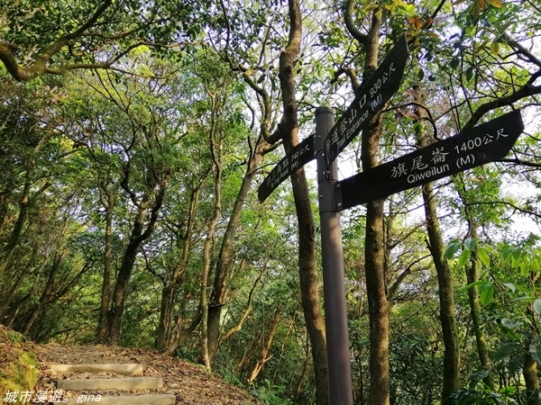 【基隆七堵】360度環繞山景。  No11小百岳_姜子寮山