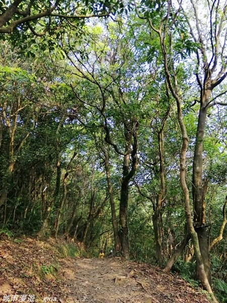 IMG_20210327_161707.jpg IMG_20210327_161707.jpg