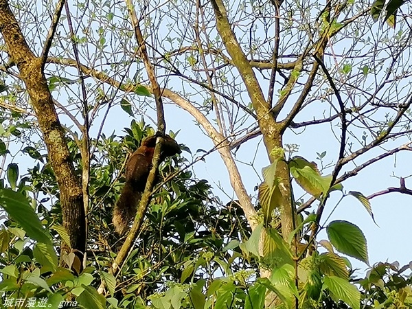 IMG_20210327_163838.jpg IMG_20210327_163838.jpg