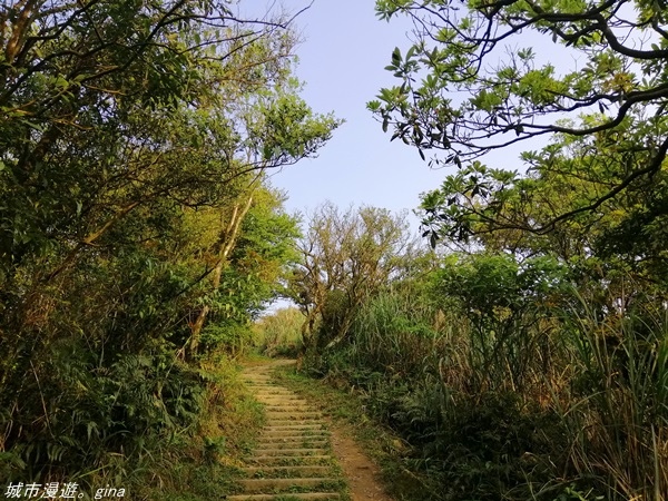 IMG_20210327_163856.jpg IMG_20210327_163856.jpg