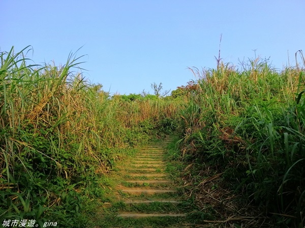 【基隆七堵】360度環繞山景。  No11小百岳_姜子寮山