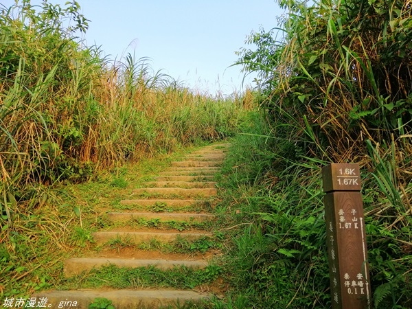 IMG_20210327_164010.jpg IMG_20210327_164010.jpg