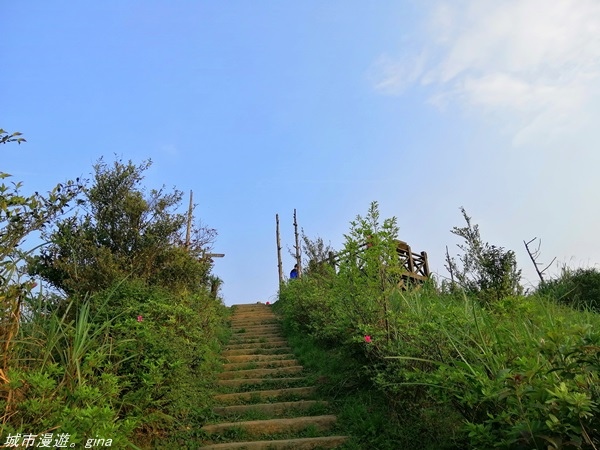 IMG_20210327_164011.jpg IMG_20210327_164011.jpg