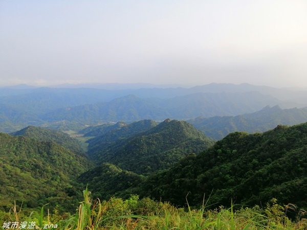 【基隆七堵】360度環繞山景。  No11小百岳_姜子寮山