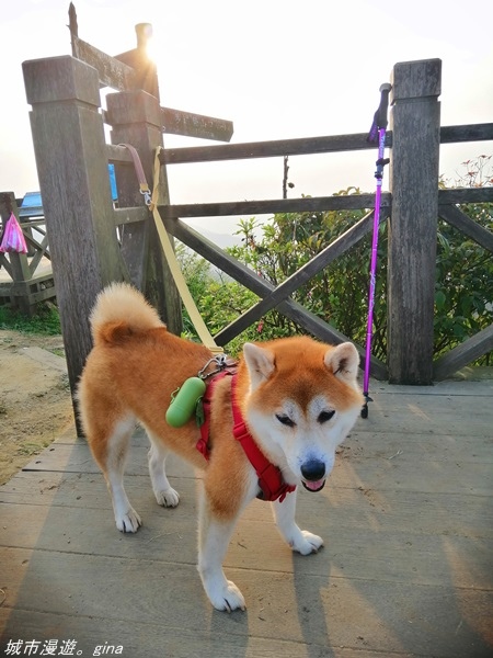 IMG_20210327_165931.jpg IMG_20210327_165931.jpg