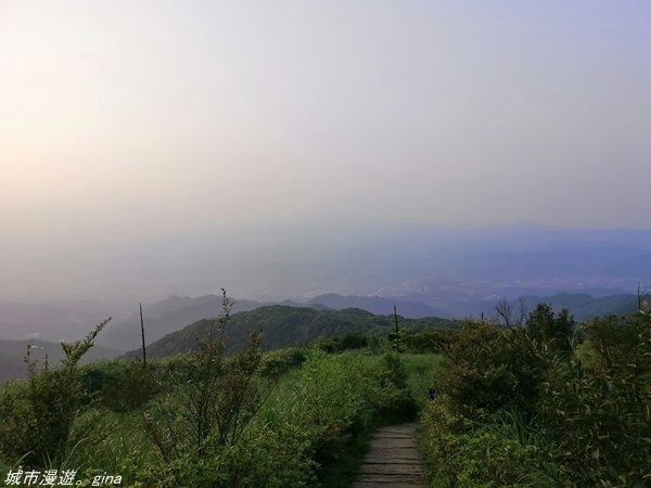 IMG_20210327_170158.jpg IMG_20210327_170158.jpg