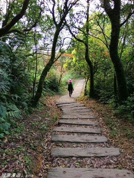 【基隆七堵】360度環繞山景。  No11小百岳_姜子寮山