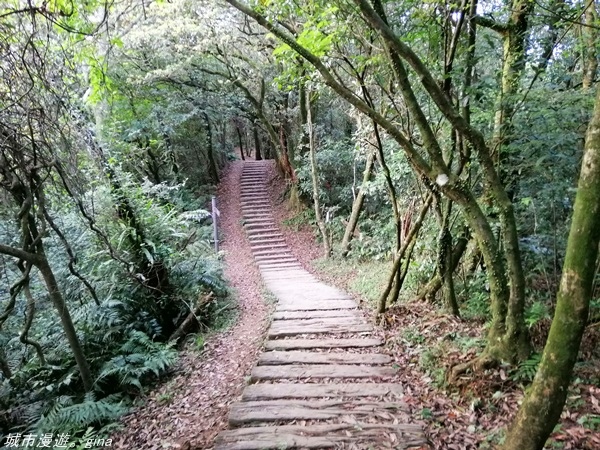 【基隆七堵】360度環繞山景。  No11小百岳_姜子寮山