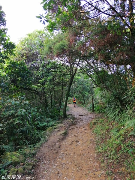 【基隆七堵】360度環繞山景。  No11小百岳_姜子寮山